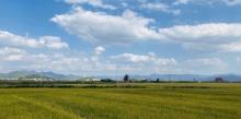 白沙岛村11