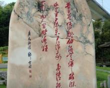 温州仙堂山遗址2