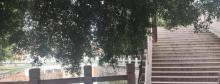 上来公园1