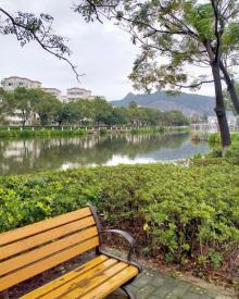 河泥荡文化公园4