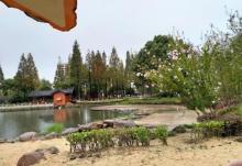 河泥荡文化公园5