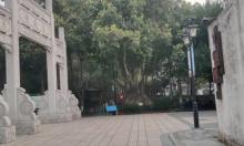 湖滨公园2