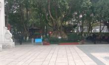 湖滨公园1