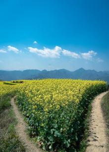 兑村2