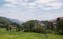 中国田鱼村4