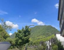 岭北森林公园1
