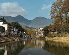 岭北森林公园2