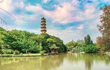 江心公园2