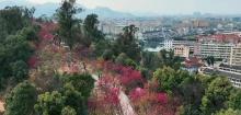 狮山公园3