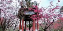 狮山公园1