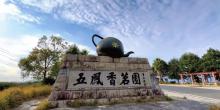 苍南五凤茶园3