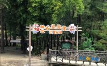 岭北松鼠部落儿童乐园1