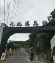 瑞安市桐浦凤凰樱花谷5