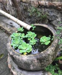 温州大瞿岛2