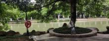 茶山湖1