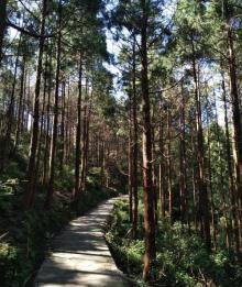 白龙山森林公园4