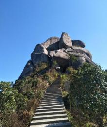 白龙山森林公园7