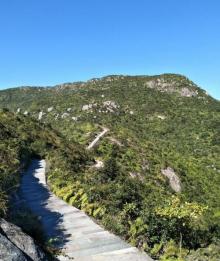 白龙山森林公园3