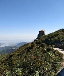 白龙山森林公园5