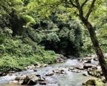 赤岩山1