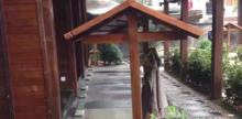棕榈泉2