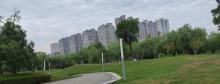 人工湖公园1