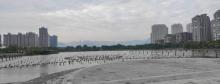 人工湖公园2