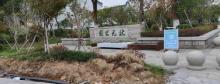 苍南状元公园2