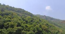 太平岩景区4