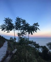 棕榈湾16