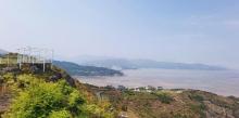 棕榈湾10