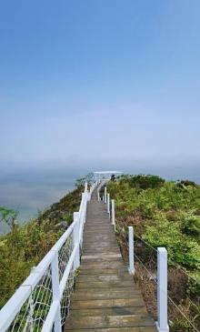 棕榈湾12