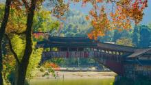 泰顺廊桥5
