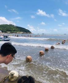 渔寮风景区22