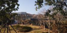 渔寮风景区17