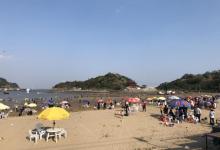 渔寮风景区24
