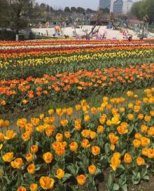 云澜湾・四季花海乐园27