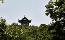 泊山洞11