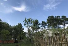 三瓜公社30