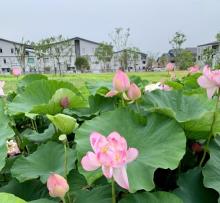 金山嘴渔村19