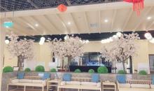 厚塘汤泉17