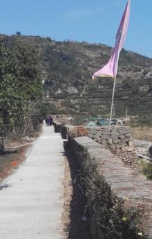 桃渚风景区5