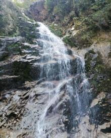百山祖景区10