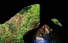 百山祖景区23