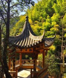 百山祖景区18