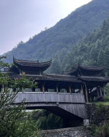 百山祖景区14