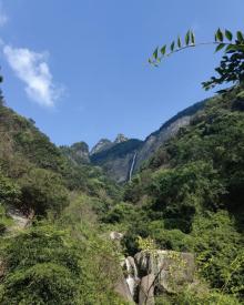 秀峰16