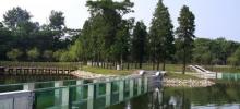 鄱阳湖国家湿地公园30