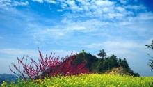 湖山村11