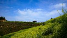 湖山村8